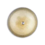 140193_web001_shell_pl6_ambra-800×800