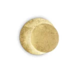 238944_web001_tick_ap_oro-800×800