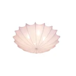 889afcd8-cf0b-11e9-e491-441ea13a53d6_6efc9aea-8a87-11ec-949c-000c2967a989-800×800