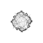 veli-charcoal_ceiling_m_color-800×800