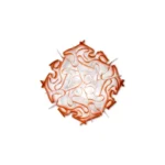 veli-chilli_ceiling_m_color-800×800
