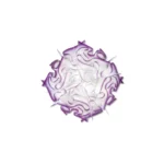 veli-plum_ceiling_m_color-800×800